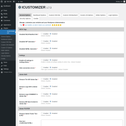 Page screenshot: ICUSTOMIZER