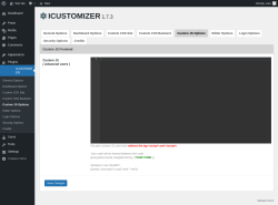 Page screenshot: ICUSTOMIZER → Custom JS Options