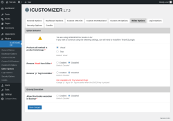 Page screenshot: ICUSTOMIZER → Editor Options