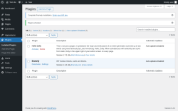 Page screenshot: Plugins &lsaquo; Test site &mdash; WordPress