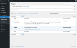 Page screenshot: Plugins &lsaquo; Test site &mdash; WordPress