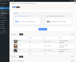 Page screenshot: Media → Bulk Optimization