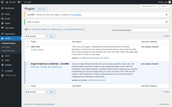 Page screenshot: Plugins ‹ Test site — WordPress