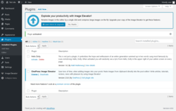Page screenshot: Plugins &lsaquo; Test site &mdash; WordPress