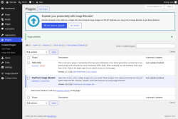Page screenshot: Plugins &lsaquo; Test site &mdash; WordPress