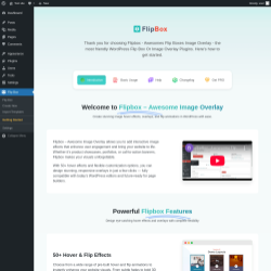 Page screenshot: Flip Box → Getting Started