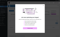 Page screenshot: Media  → Bulk Optimization