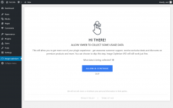 Page screenshot: Image optimizer