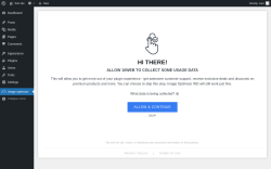 Page screenshot: Image optimizer