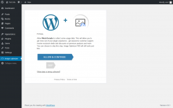 Page screenshot: Image optimizer
