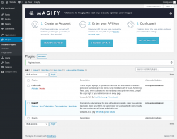 Page screenshot: Plugins &lsaquo; Test site &mdash; WordPress