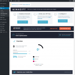 Page screenshot: Media &rarr; Bulk Optimization