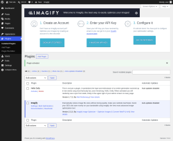 Page screenshot: Plugins &lsaquo; Test site &mdash; WordPress