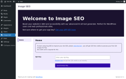 Page screenshot: Image SEO