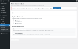 Page screenshot: ImgSEO → Generazione in Bulk