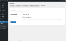 Page screenshot: ImgSEO → Field Updates