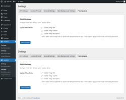Page screenshot: ImgSEO → Field Updates