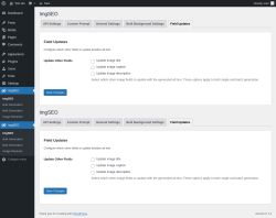 Page screenshot: ImgSEO → Field Updates