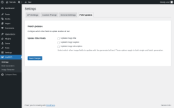 Page screenshot: ImgSEO → Field Updates