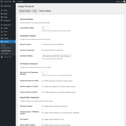 Page screenshot: ImgSEO → Image Renamer → Renamer Settings