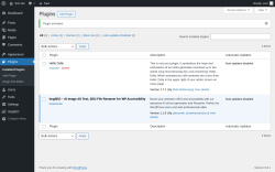 Page screenshot: Plugins ‹ Test site — WordPress