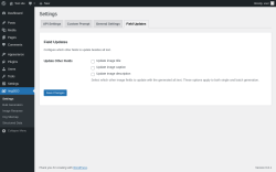 Page screenshot: ImgSEO → Field Updates