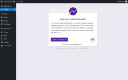 Page screenshot: Independent Analytics ‹ Test site — WordPress