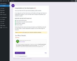 Page screenshot: Independent Analytics ‹ Test site — WordPress