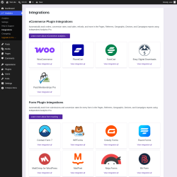 Page screenshot: Analytics &rarr; Integrations