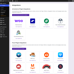 Page screenshot: Analytics &rarr; Integrations