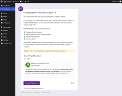Page screenshot: Independent Analytics &lsaquo; Test site &mdash; WordPress