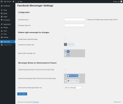 Page screenshot: Messenger