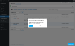 Page screenshot: Plugins &lsaquo; Test site &mdash; WordPress