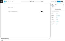 Page screenshot: Add New Page &lsaquo; Test site &mdash; WordPress