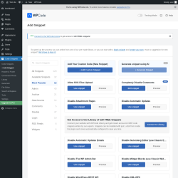 Page screenshot: Code Snippets &rarr; + Add Snippet