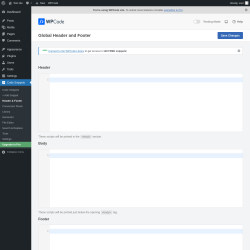 Page screenshot: Code Snippets &rarr; Header & Footer