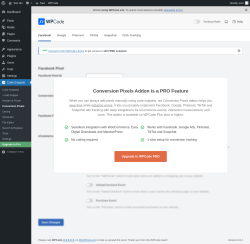 Page screenshot: Code Snippets &rarr; Conversion Pixels