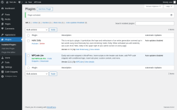 Page screenshot: Plugins &lsaquo; Test site &mdash; WordPress