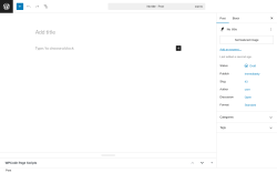 Page screenshot: Add Post ‹ Test site — WordPress