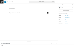Page screenshot: Add Page ‹ Test site — WordPress