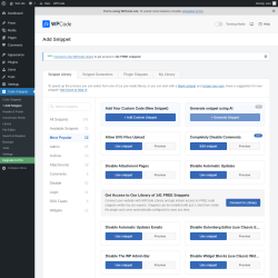 Page screenshot: Code Snippets → + Add Snippet