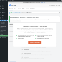 Page screenshot: Code Snippets → Conversion Pixels