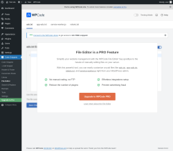 Page screenshot: Code Snippets → File Editor