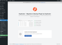 Page screenshot: Code Snippets → Backups
