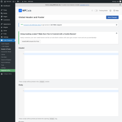 Page screenshot: Code Snippets &rarr; Header & Footer