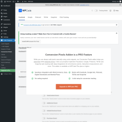 Page screenshot: Code Snippets &rarr; Conversion Pixels