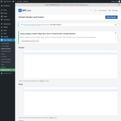 Page screenshot: Code Snippets &rarr; Header & Footer