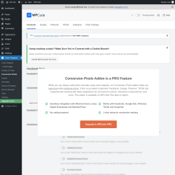 Page screenshot: Code Snippets &rarr; Conversion Pixels