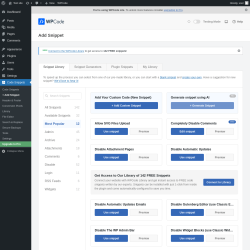 Page screenshot: Code Snippets &rarr; + Add Snippet