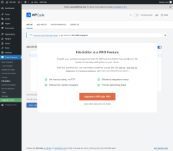 Page screenshot: Code Snippets &rarr; File Editor